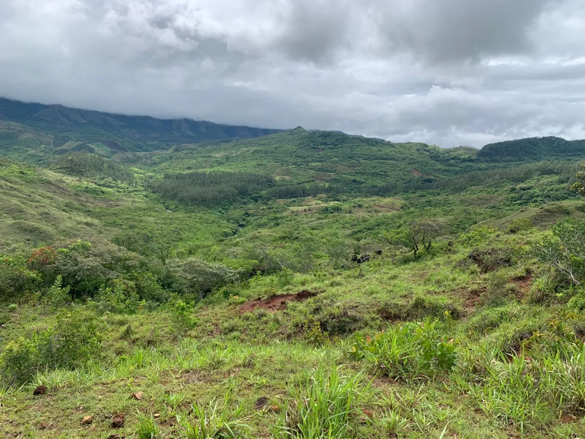 PROPIEDAD EN VENTA EN SANTA FE, VERAGUAS. 39 HECTÁREAS (96,37 ACRES).