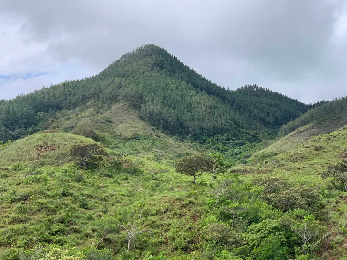 PROPIEDAD EN VENTA EN SANTA FE, VERAGUAS. 39 HECTÁREAS (96,37 ACRES).