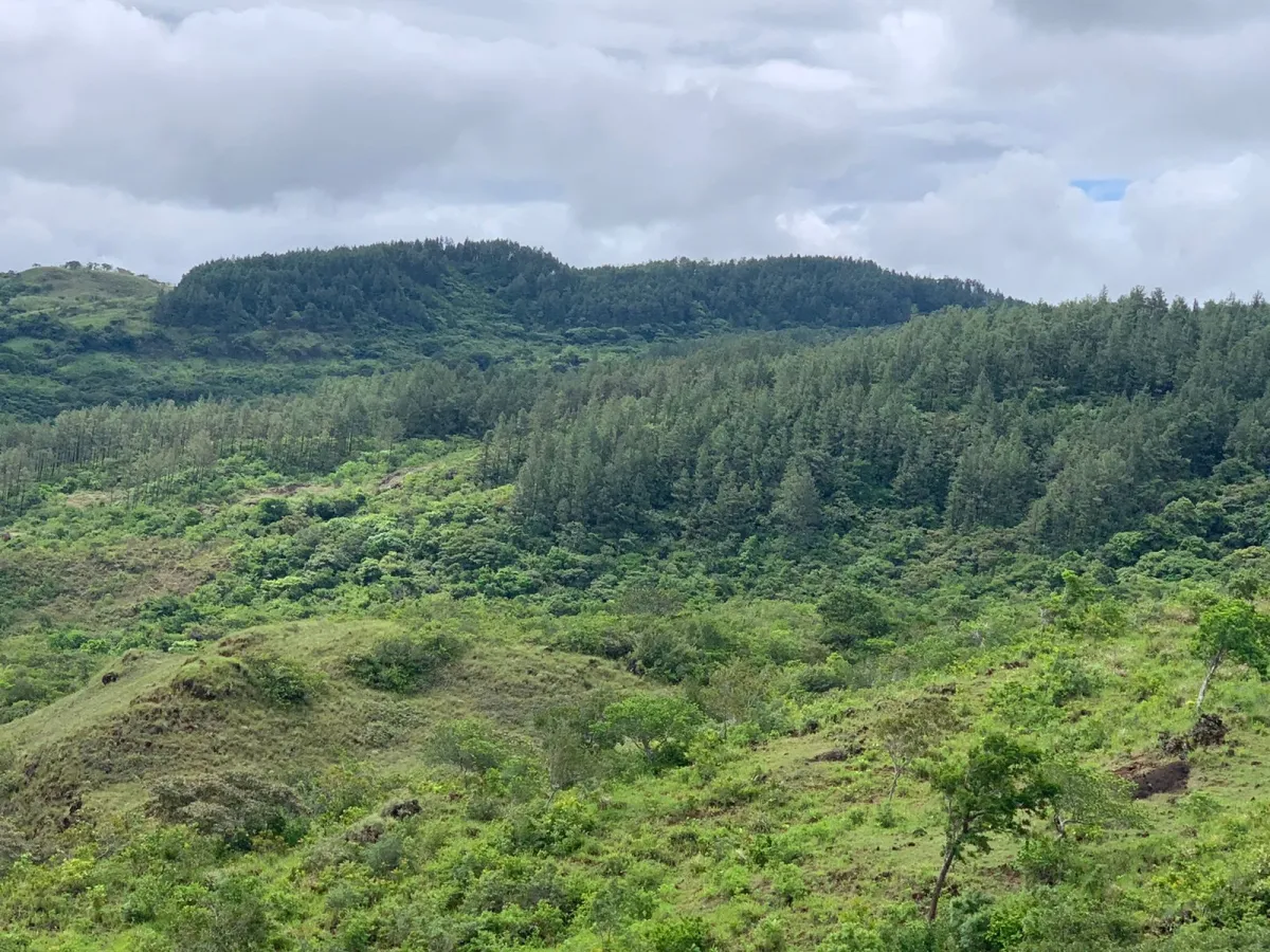PROPIEDAD EN VENTA EN SANTA FE, VERAGUAS. 39 HECTÁREAS (96,37 ACRES).