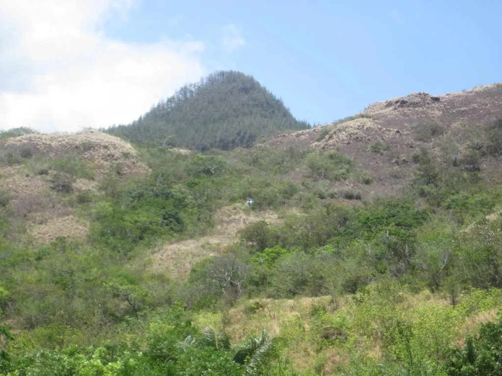 PROPIEDAD EN VENTA EN SANTA FE, VERAGUAS. 39 HECTÁREAS (96,37 ACRES).