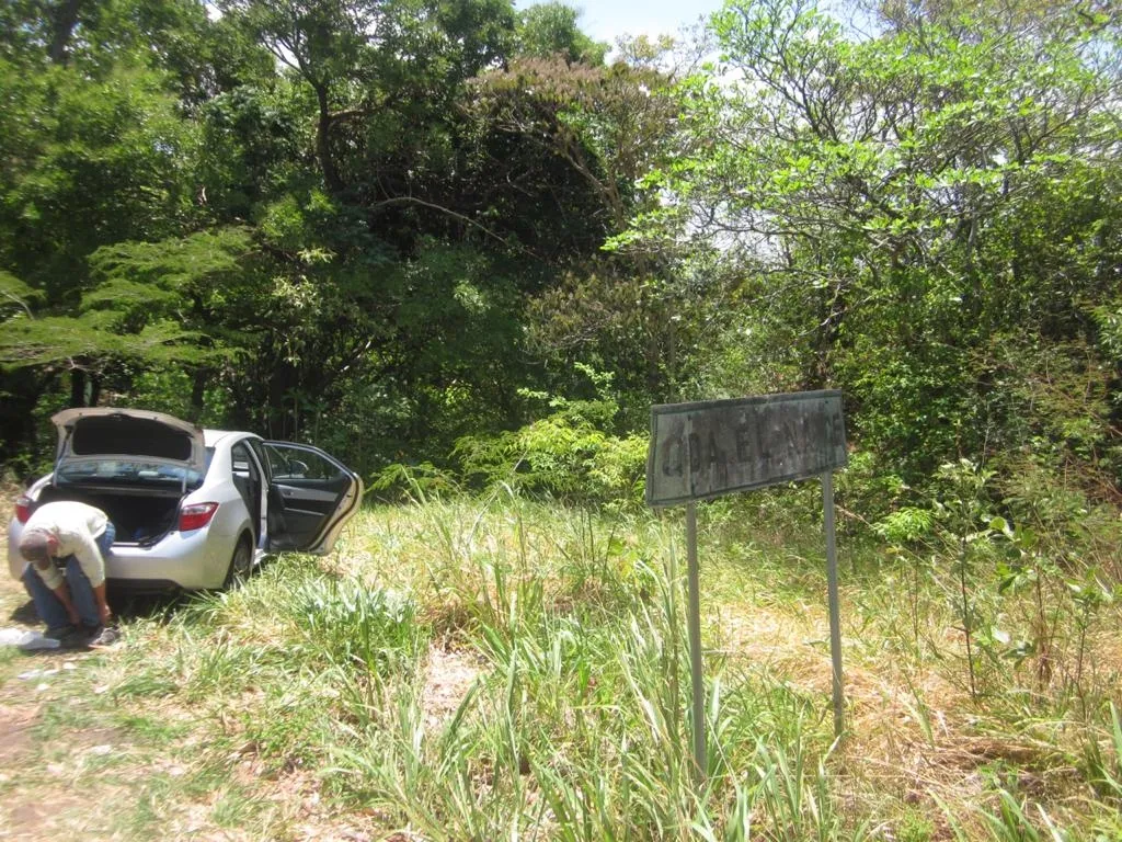 PROPIEDAD EN VENTA EN SANTA FE, VERAGUAS. 39 HECTÁREAS (96,37 ACRES).