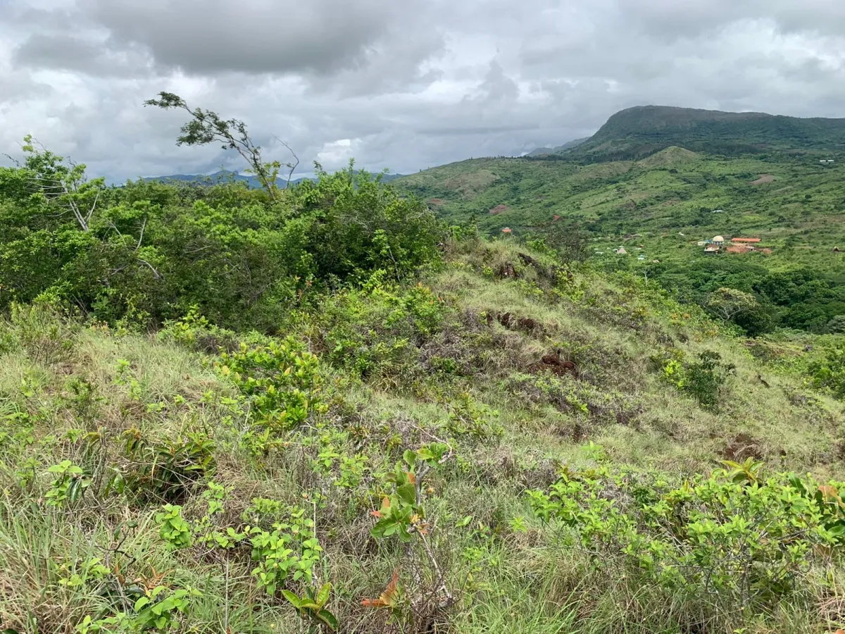 PROPIEDAD EN VENTA EN SANTA FE, VERAGUAS. 39 HECTÁREAS (96,37 ACRES).