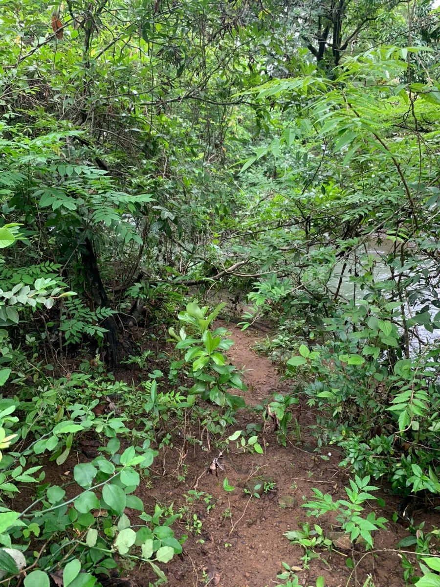 PROPIEDAD EN VENTA EN SANTA FE, VERAGUAS. 39 HECTÁREAS (96,37 ACRES).