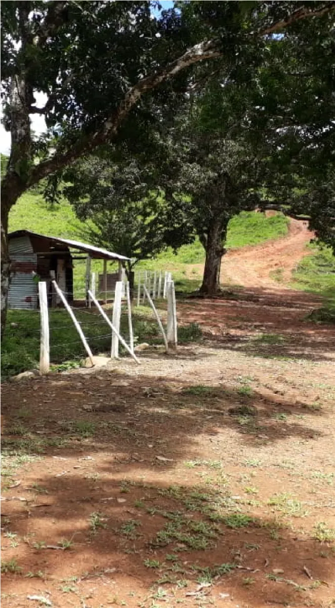 GRAN PROPIEDAD EN VENTA, EN SONA, VERAGUAS. 410 HECTÁREAS (1.013,13 ACRES).