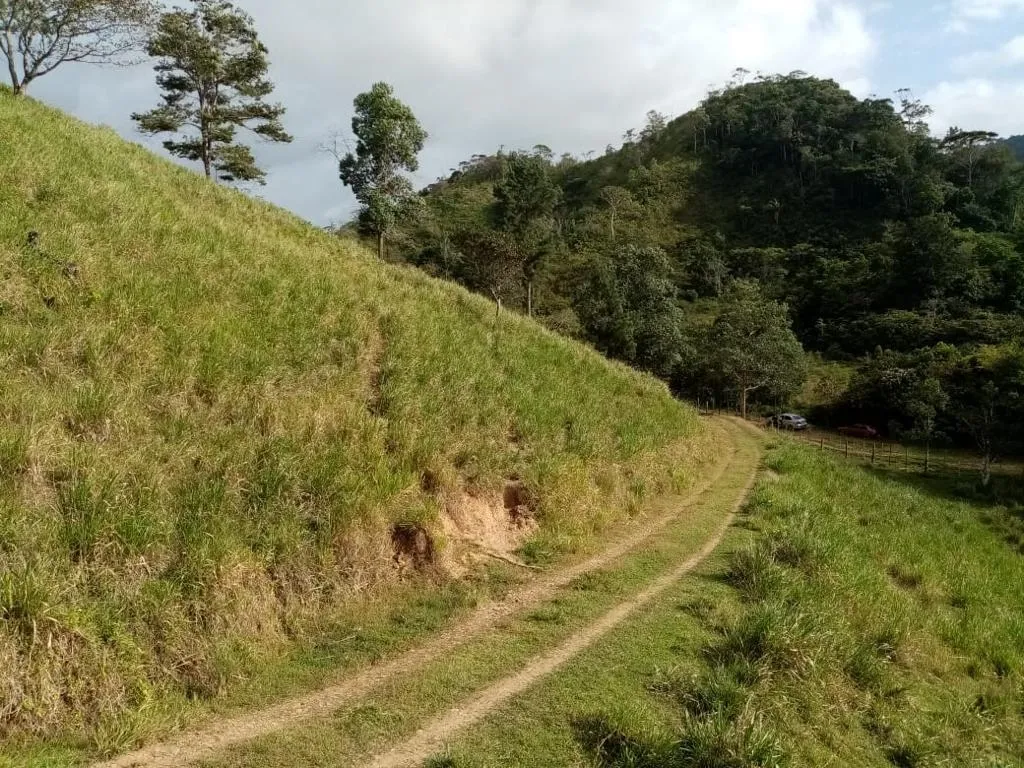 ESPECTACULAR FINCA EN VENTA EN PENONOME, 99 HECTÁREAS.