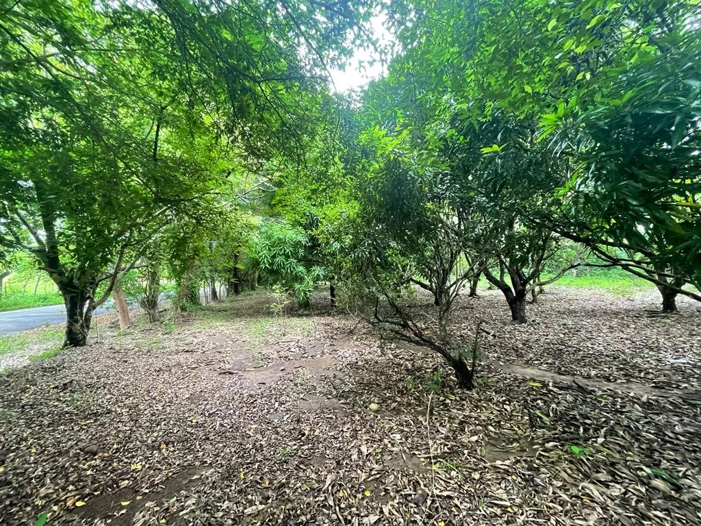 PROPIEDAD DE GRAN POTENCIAL A LA VENTA EN EL BORDE DE LA CALLE PRINCIPAL, EN HICACO, SANTA CATALINA, VERAGUAS. DE 13.000 METROS CUADRADOS (3,212 ACRES