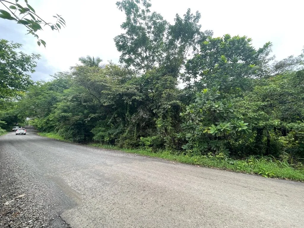 PROPIEDAD DE GRAN POTENCIAL A LA VENTA EN EL BORDE DE LA CALLE PRINCIPAL, EN HICACO, SANTA CATALINA, VERAGUAS. DE 13.000 METROS CUADRADOS (3,212 ACRES