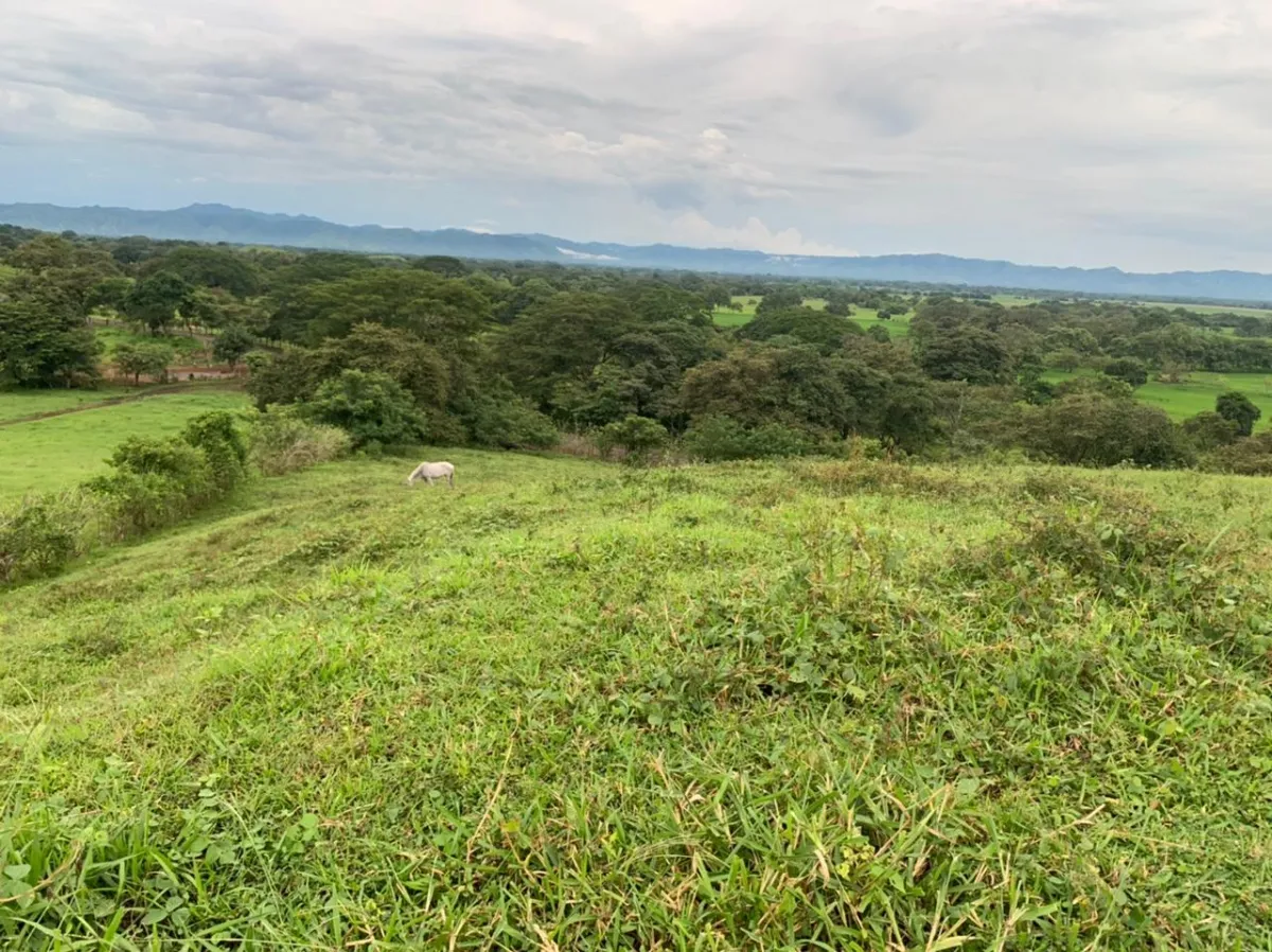 INCREIBLE FINCA EN VENTA ENTRE BUCARO Y PLAYA GUANICO DE 33 HECTAREAS ...