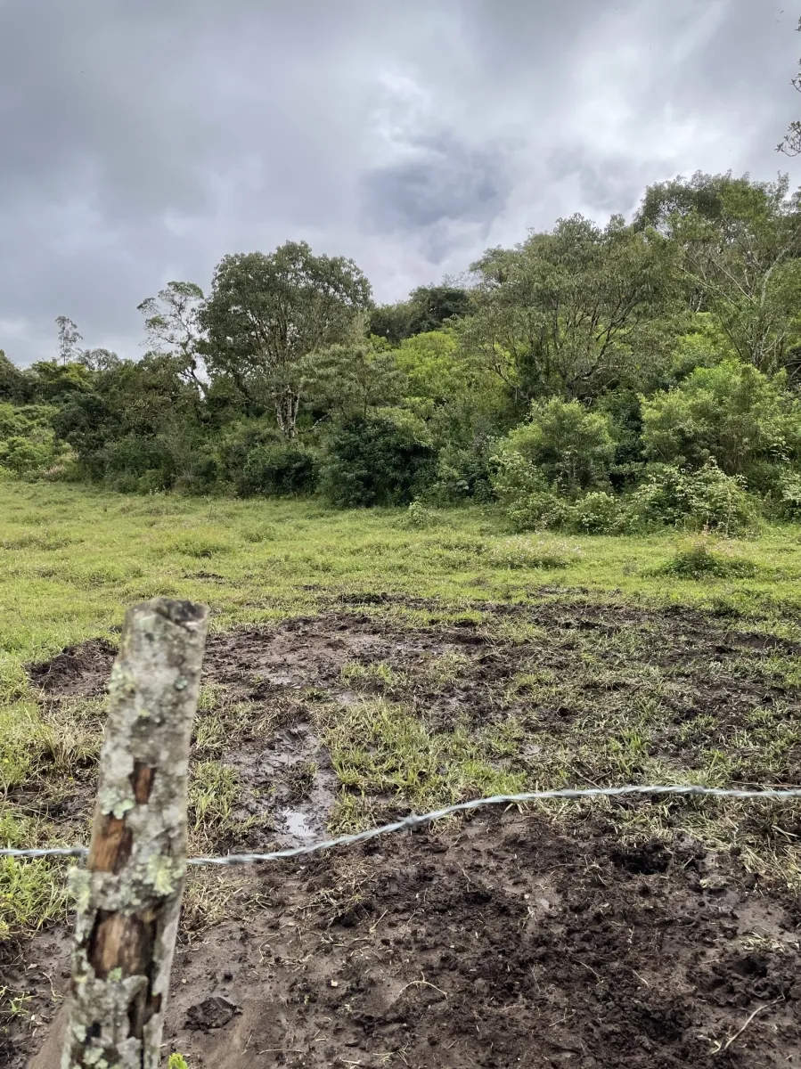 Terreno perfecto para un complejo familiar en el altiplano con vistas al Volcán