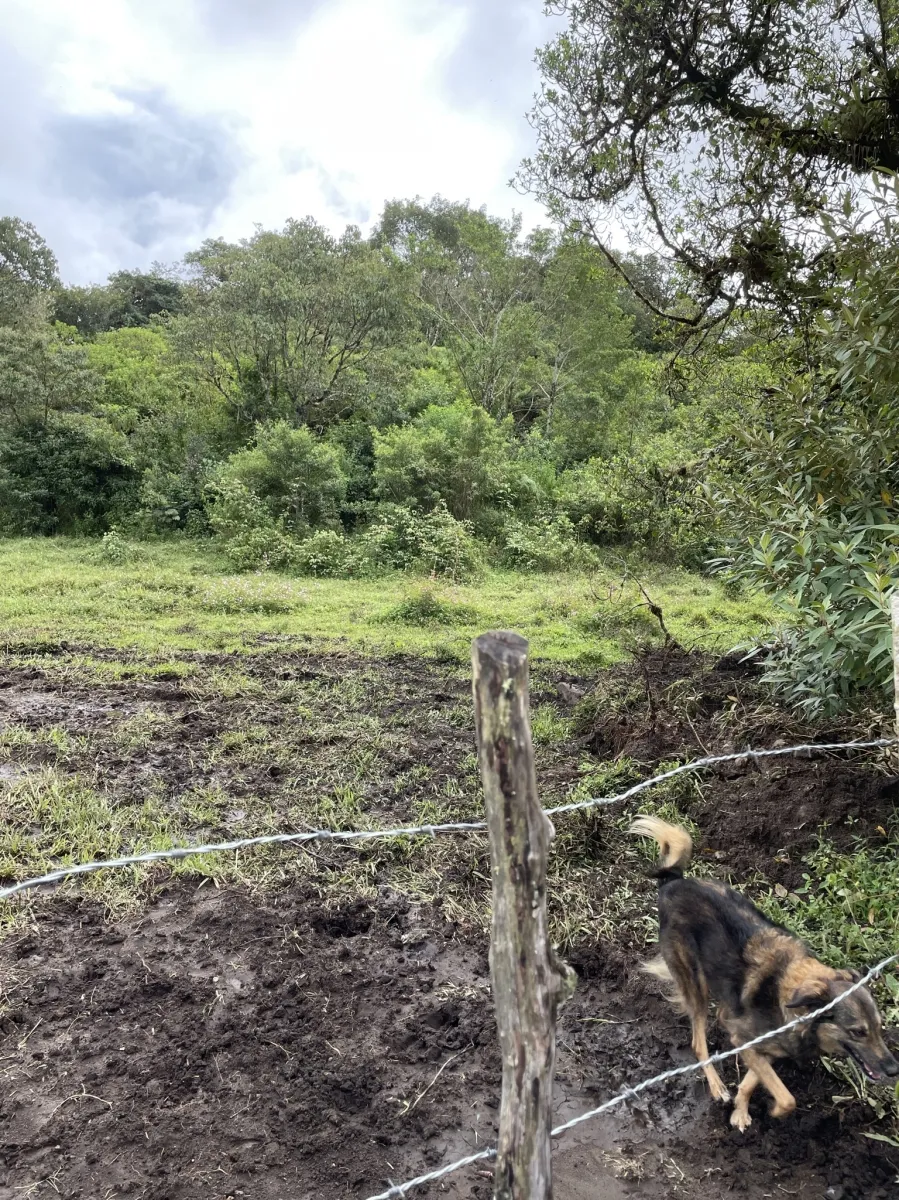 Terreno perfecto para un complejo familiar en el altiplano con vistas al Volcán