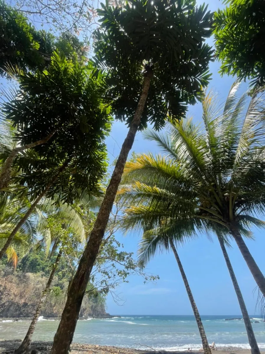 Propiedades de Bosque y Playa en Panamá para la venta; Mata Palo, Cerr...