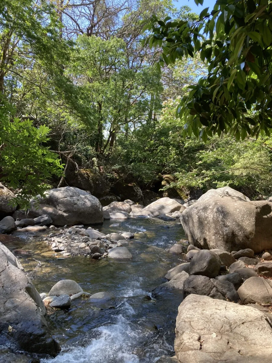 Finca ganadera o escondite privado con impresionantes vistas