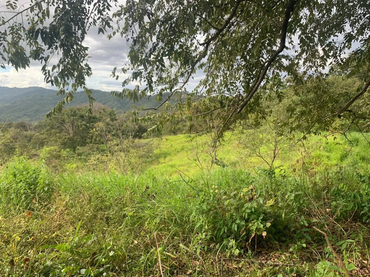 INCREIBLE OPORTUNIDAD DE COMPRAR UN LOTE DE TERRENO A UN EXCELENTE PRECIO. 19 HECTERAS (46.95 ACRES) SAN LORENZO, VERAGUAS.