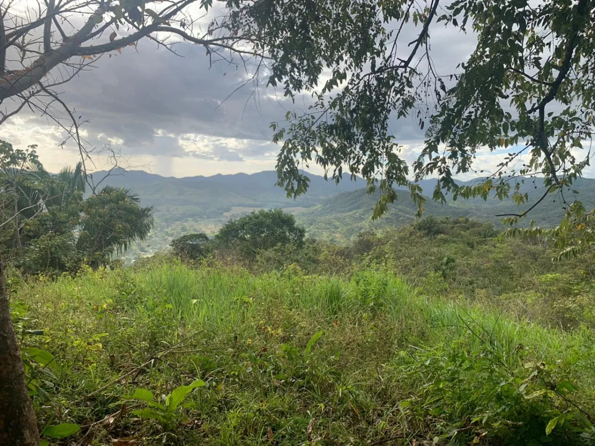 INCREIBLE OPORTUNIDAD DE COMPRAR UN LOTE DE TERRENO A UN EXCELENTE PRECIO. 19 HECTERAS (46.95 ACRES) SAN LORENZO, VERAGUAS.