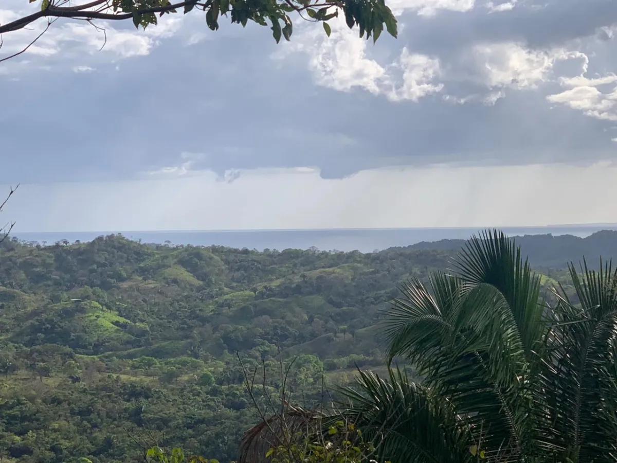 INCREIBLE OPORTUNIDAD DE COMPRAR UN LOTE DE TERRENO A UN EXCELENTE PRECIO. 19 HECTERAS (46.95 ACRES) SAN LORENZO, VERAGUAS.