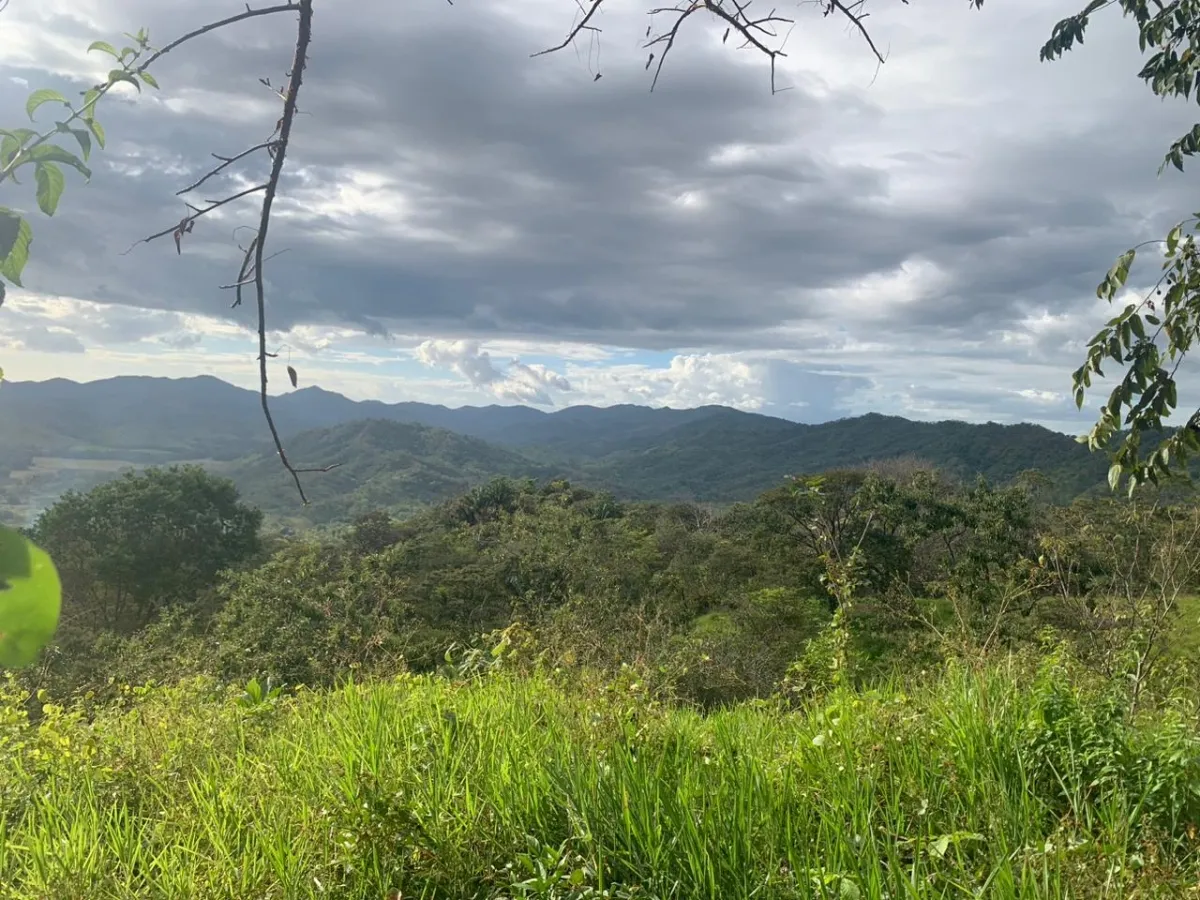 INCREIBLE OPORTUNIDAD DE COMPRAR UN LOTE DE TERRENO A UN EXCELENTE PRECIO. 19 HECTERAS (46.95 ACRES) SAN LORENZO, VERAGUAS.