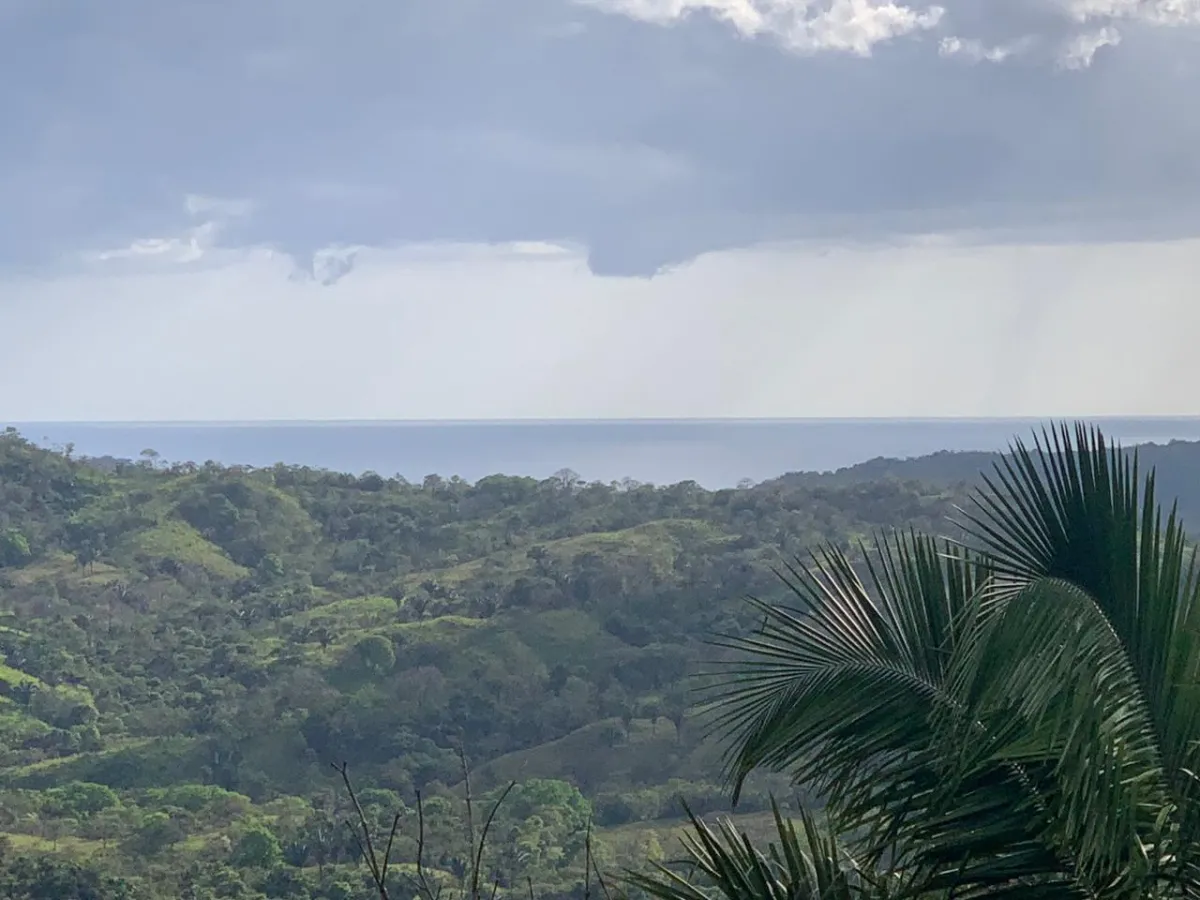 INCREIBLE OPORTUNIDAD DE COMPRAR UN LOTE DE TERRENO A UN EXCELENTE PRECIO. 19 HECTERAS (46.95 ACRES) SAN LORENZO, VERAGUAS.