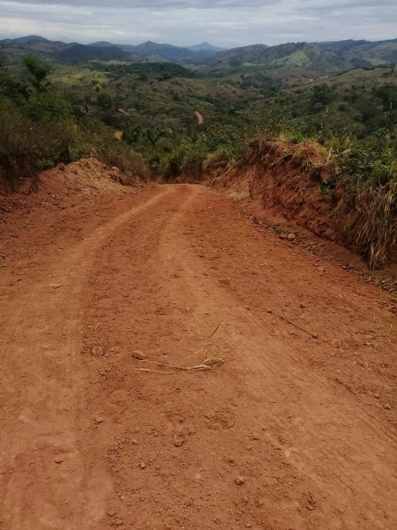FINCA EN VENTA EN LAS PALMAS DE VERAGUAS, SECTOR LA PIFA.
