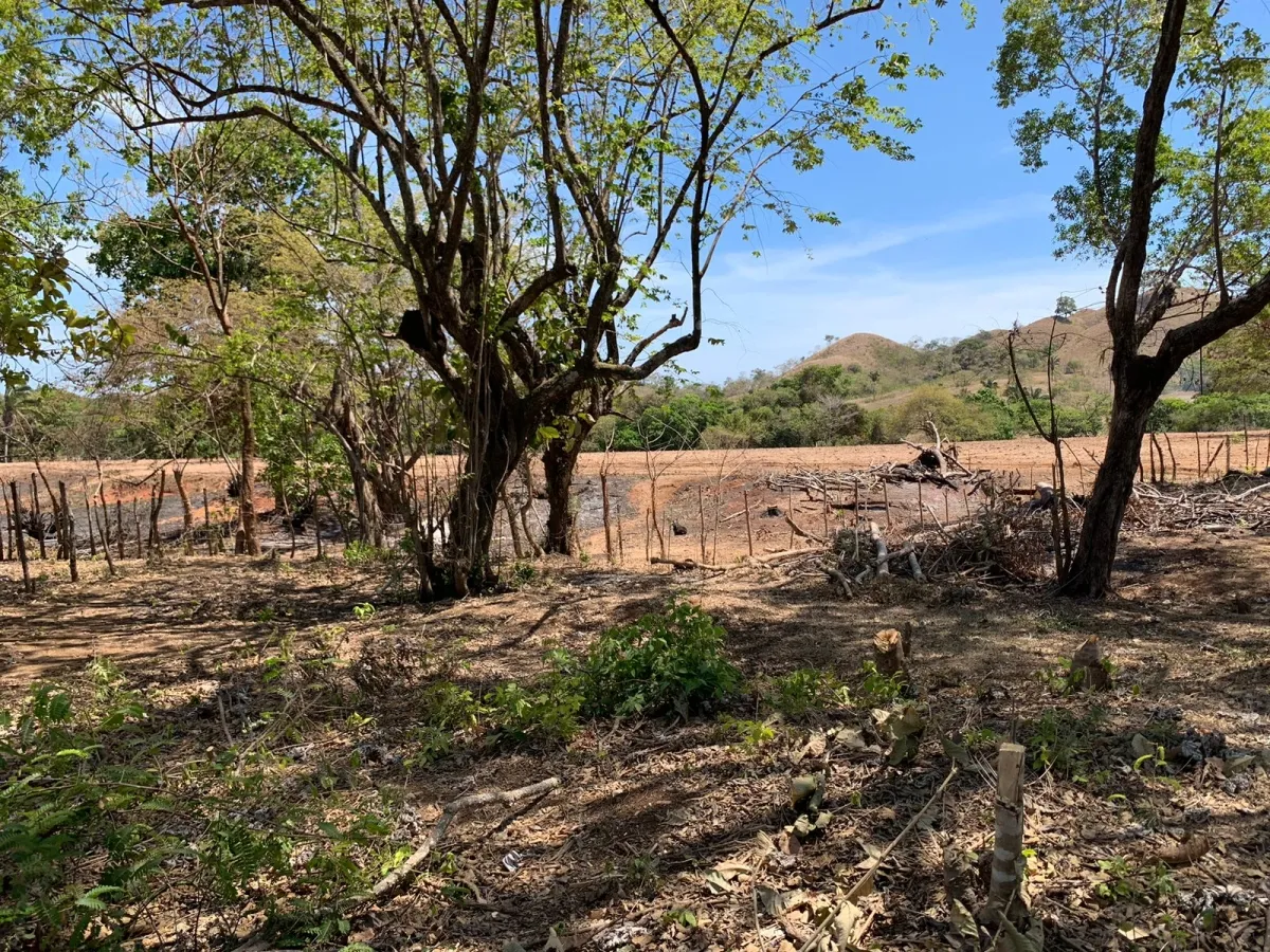 PROPIEDAD EN VENTA FRENTE A LA CARRETERA PRINCIPAL, HICACO-LAGARTERO. ...