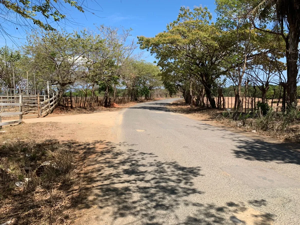 PROPIEDAD EN VENTA FRENTE A LA CARRETERA PRINCIPAL, HICACO-LAGARTERO. SANTA CATALINA