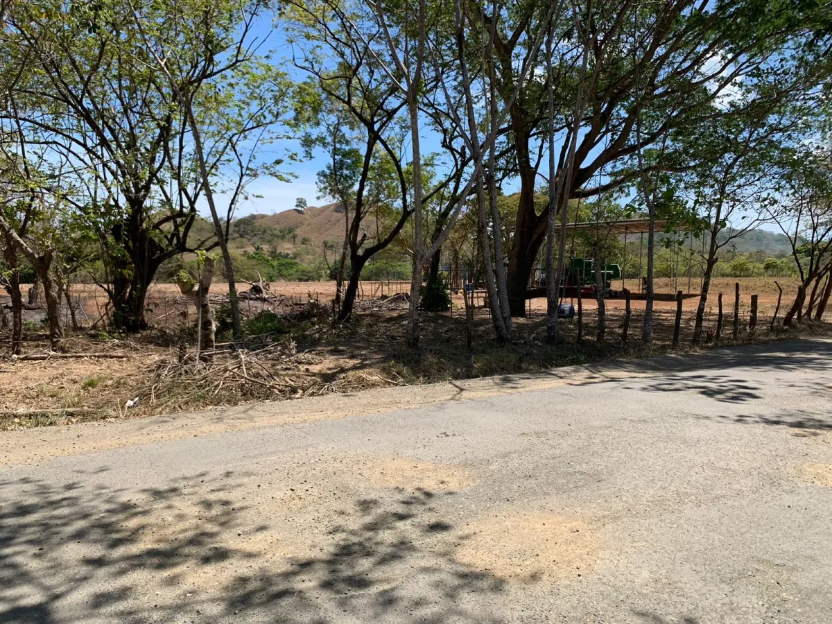 PROPIEDAD EN VENTA FRENTE A LA CARRETERA PRINCIPAL, HICACO-LAGARTERO. SANTA CATALINA