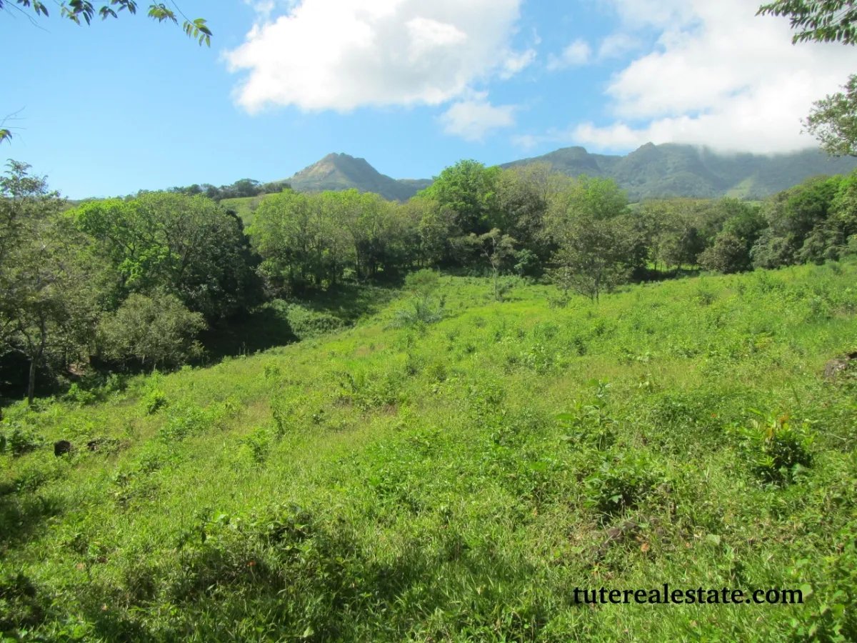 Perfect little farm with views and good access