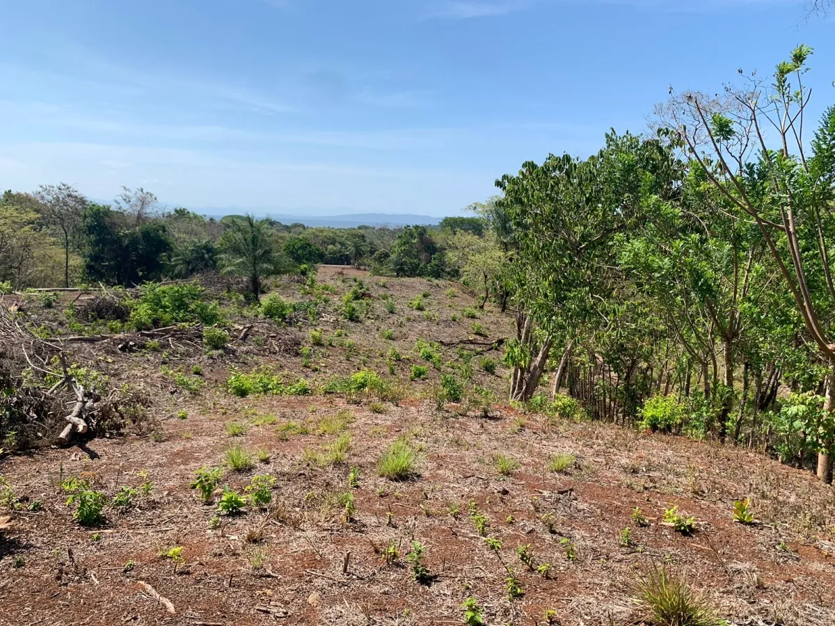 PROPIEDAD CON VISTAS AL MAR EN SANTA CATALINA (ZONA LAGARTERO), DE 1,2 HECTÁREAS - PRECIO DE GANGA.