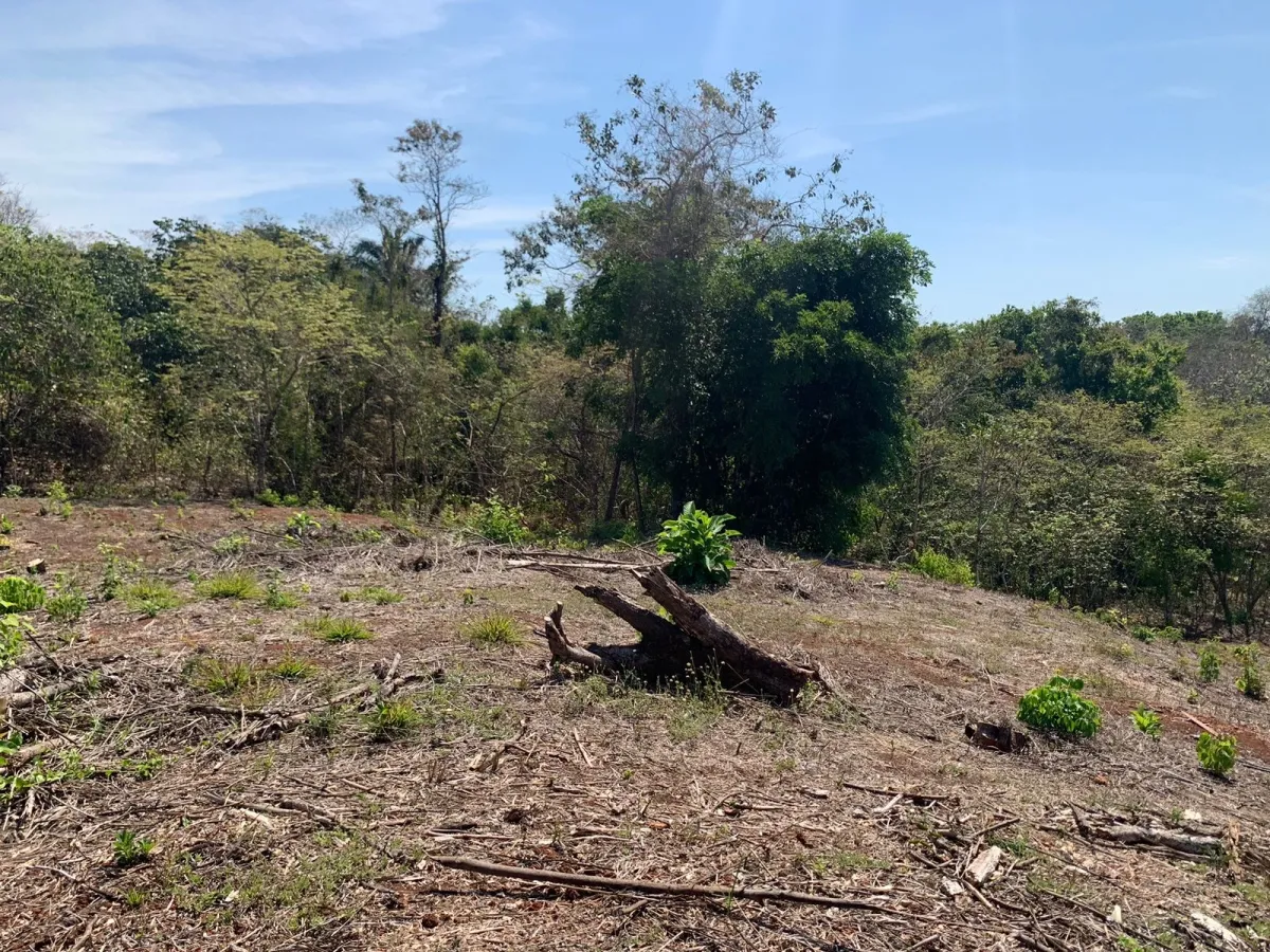PROPIEDAD CON VISTAS AL MAR EN SANTA CATALINA (ZONA LAGARTERO), DE 1,2 HECTÁREAS - PRECIO DE GANGA.