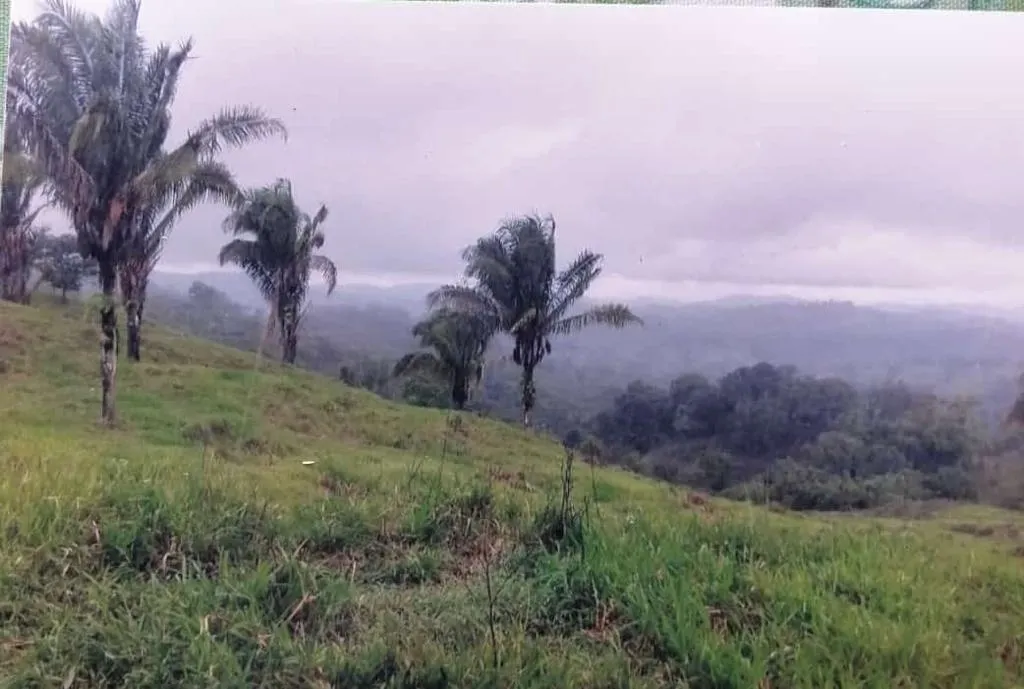 SE VENDE EXTENSA PROPIEDAD DE 412 HECTÁREAS (1,018 ACRES) CATIVE, SONÁ...
