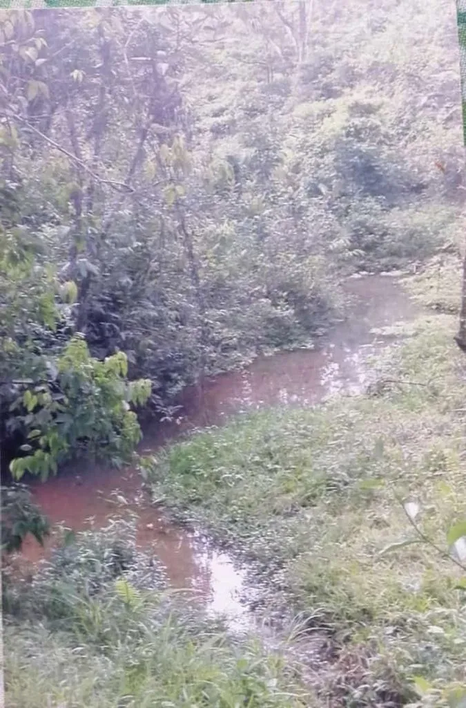 SE VENDE EXTENSA PROPIEDAD DE 412 HECTÁREAS (1,018 ACRES) CATIVE, SONÁ...