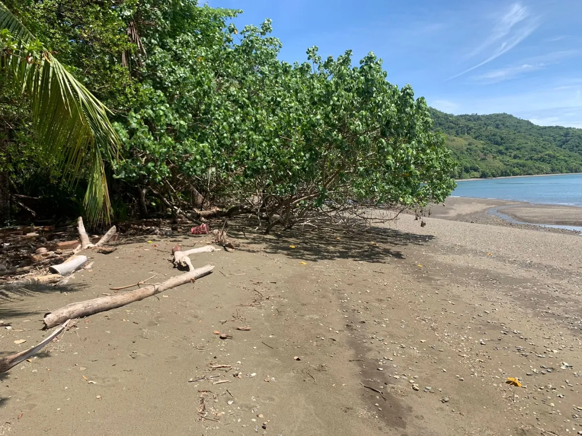 UNA HECTAREA DE PROPIEDAD EN VENTA, EN LA ISLA DE CEBACO, FRENTE AL MA...