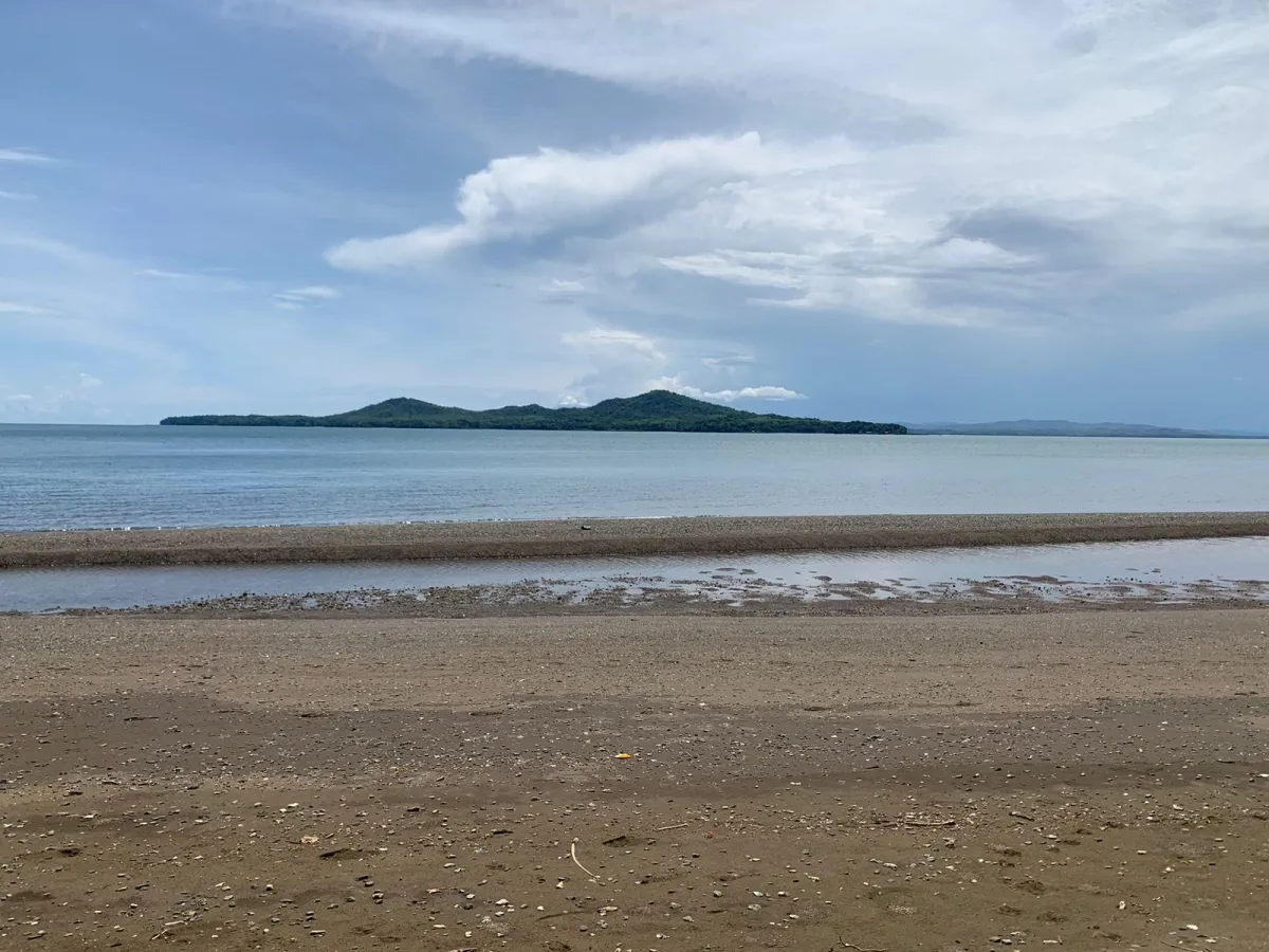 UNA HECTAREA DE PROPIEDAD EN VENTA, EN LA ISLA DE CEBACO, FRENTE AL MA...