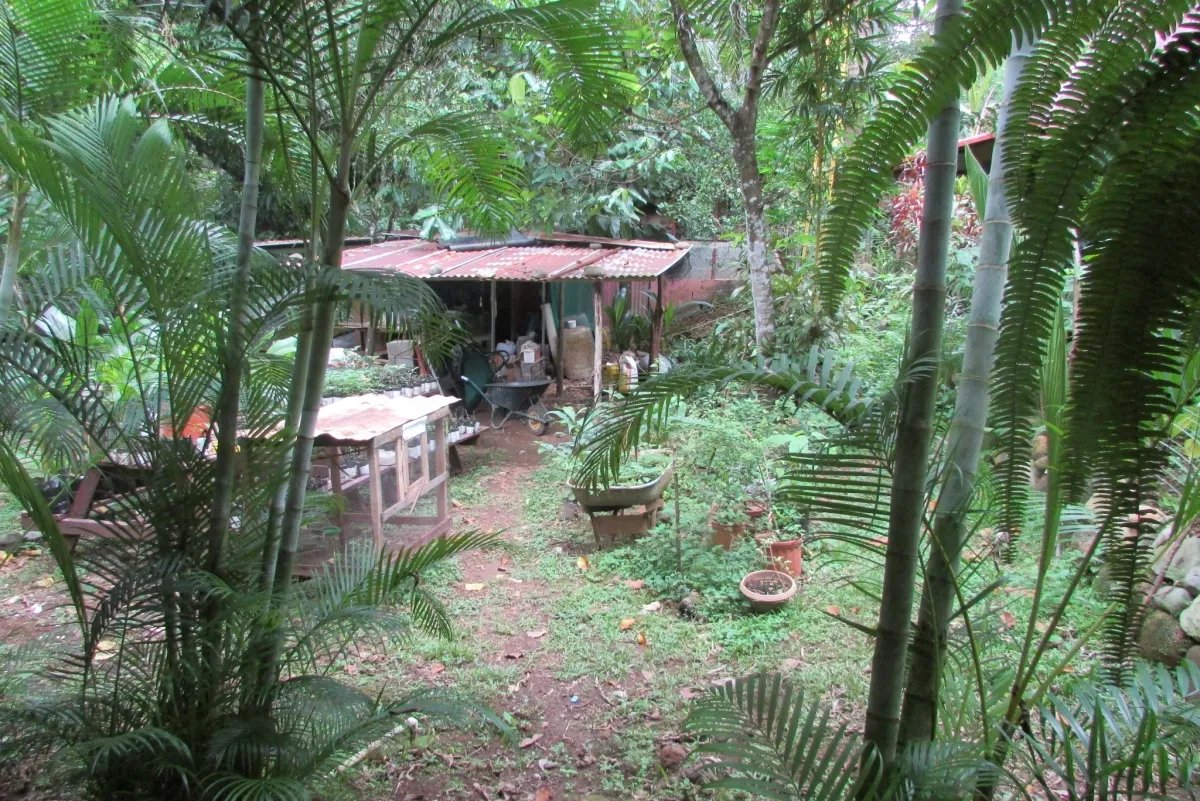 THE ZUMBON WATERFALL