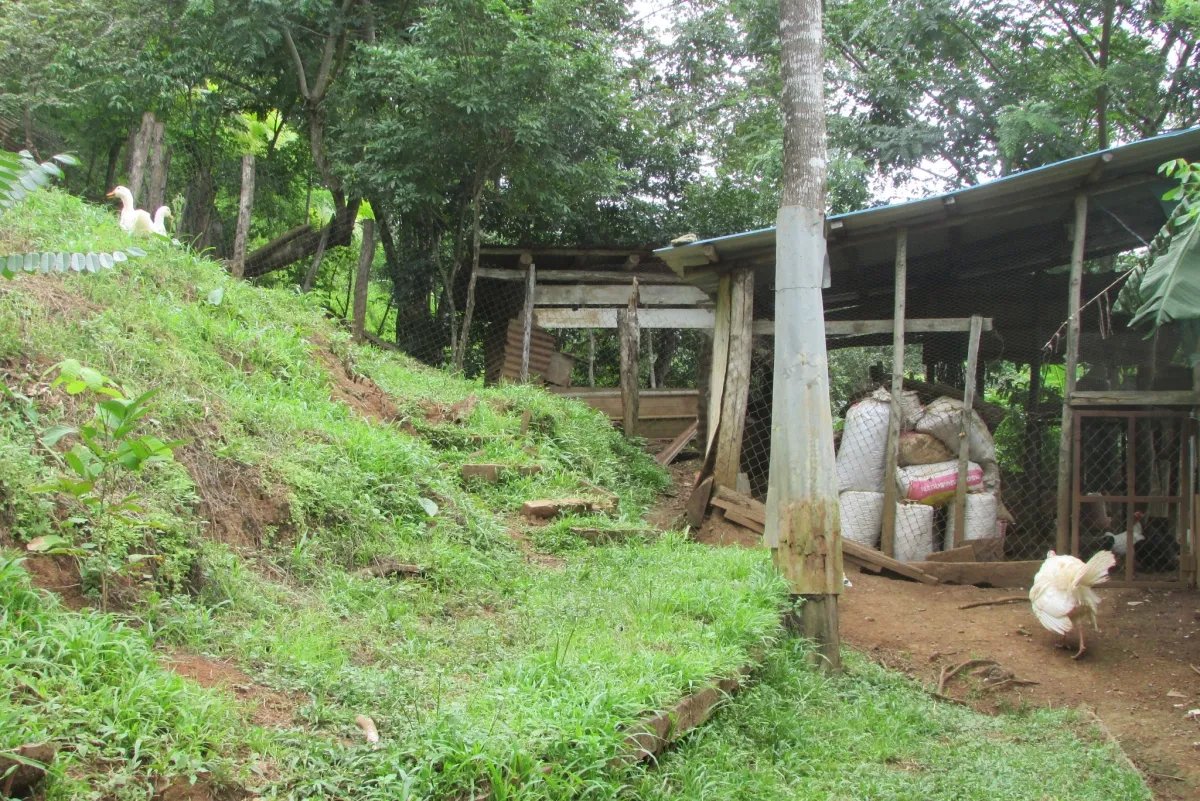 THE ZUMBON WATERFALL