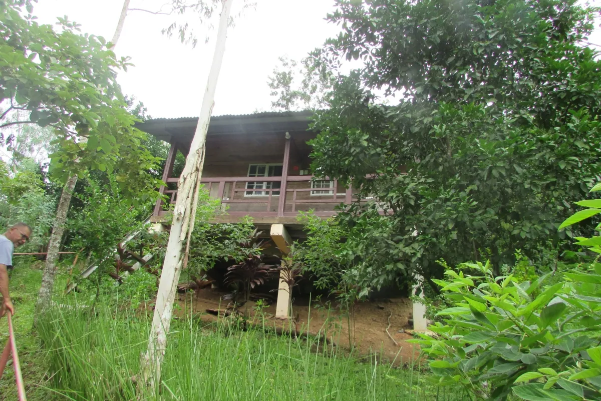 LA CASCADA EL ZUMBON