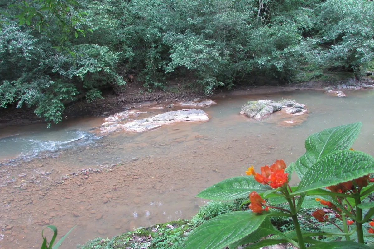LA CASCADA EL ZUMBON