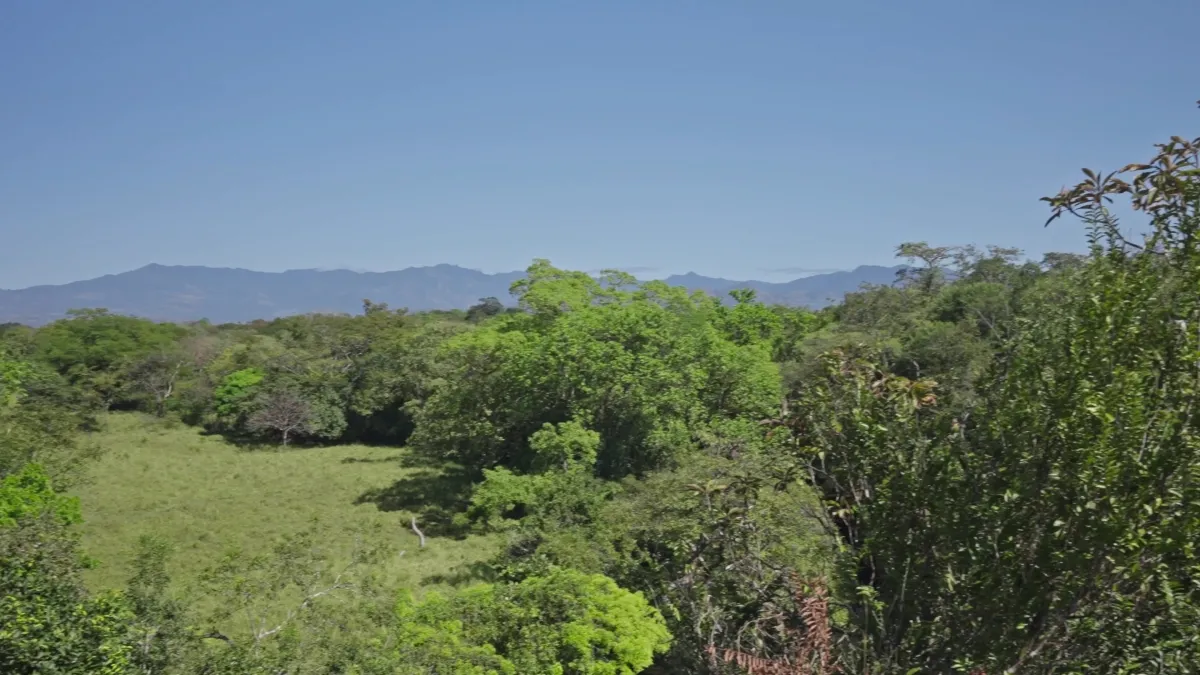 Terreno/Granja en Venta en Boquete
