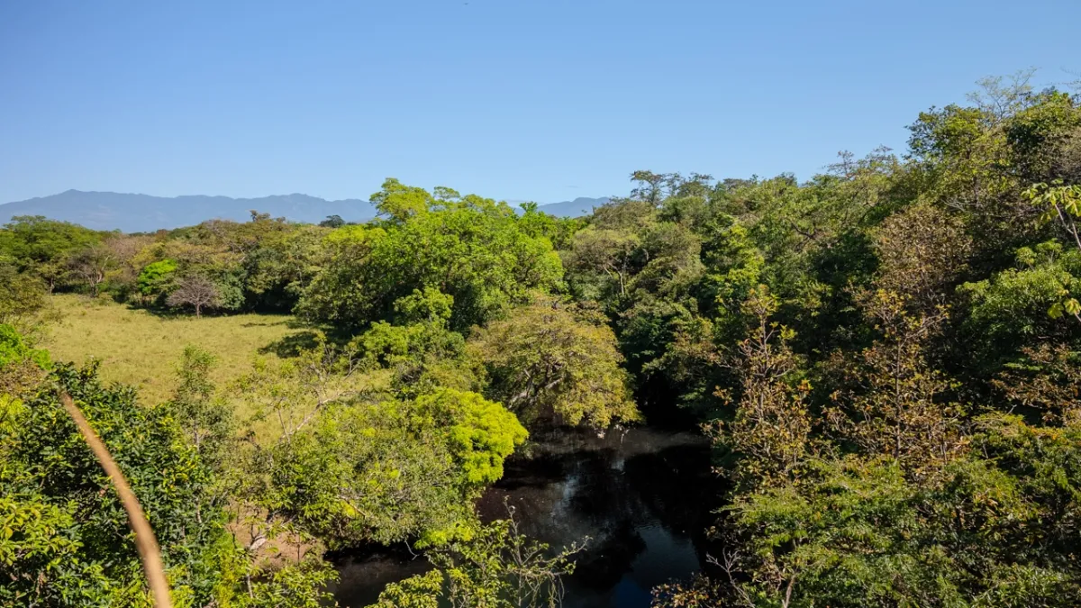 Terreno/Granja en Venta en Boquete