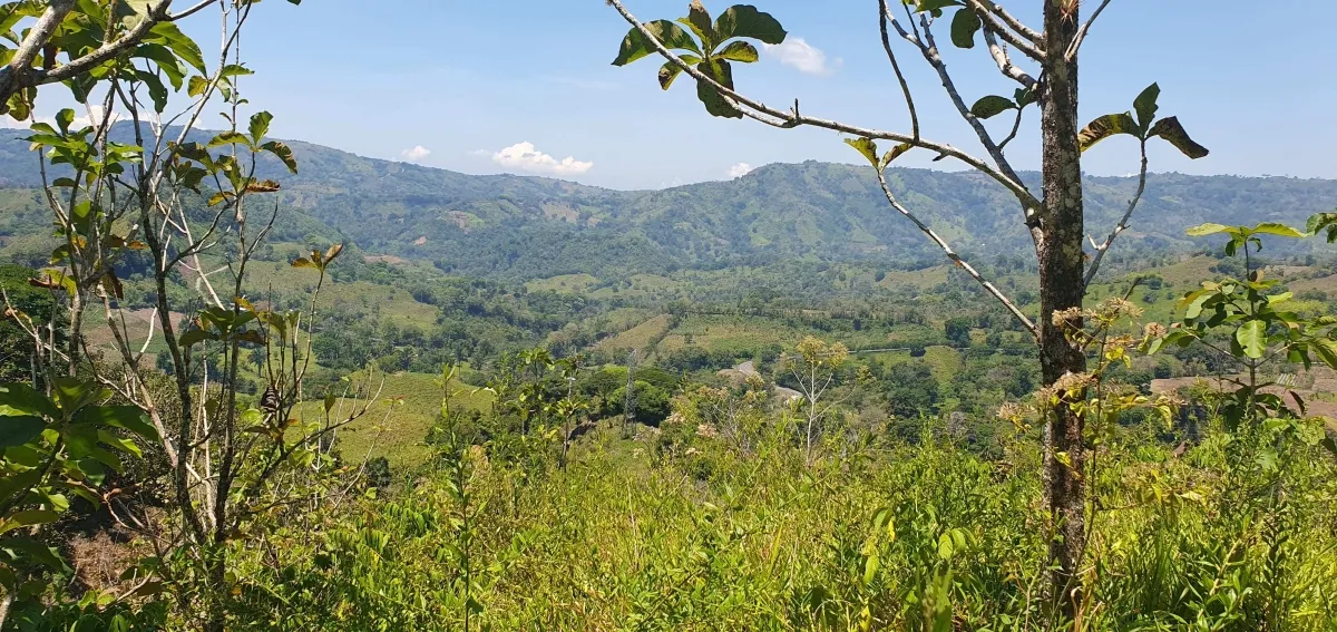 Disfrute de lo mejor de un paisaje tropical, ¡una propiedad con su pro...