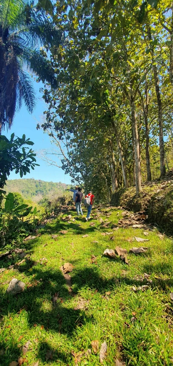 Disfrute de lo mejor de un paisaje tropical, ¡una propiedad con su propia fuente de agua dulce!