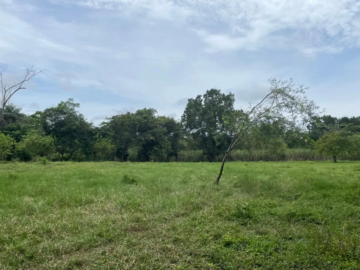 3 romantic lots near Dolega, Boquete