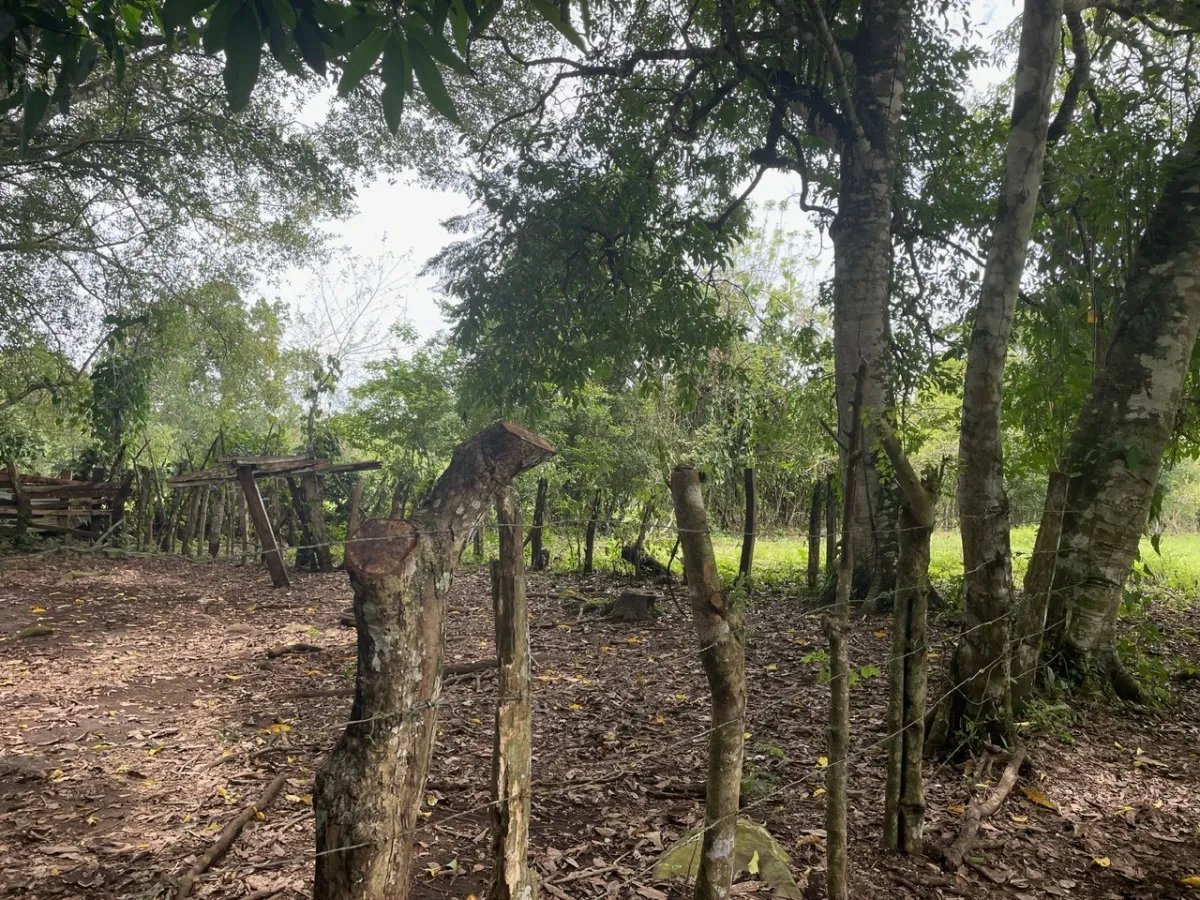 3 romantic lots near Dolega, Boquete