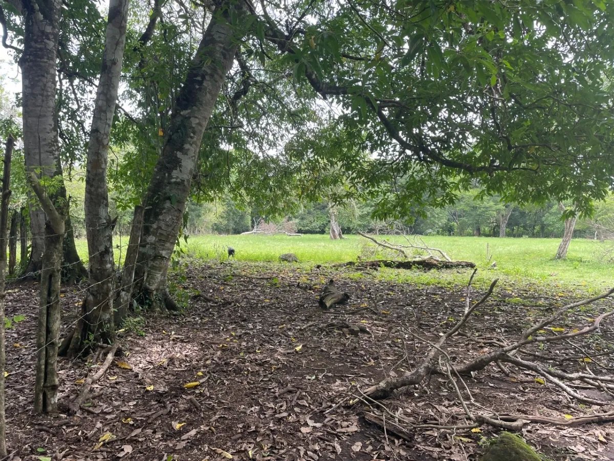 3 romantic lots near Dolega, Boquete