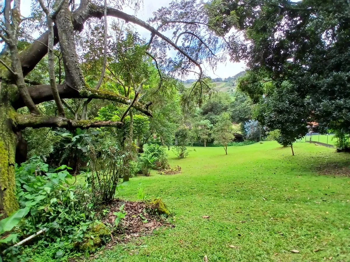 Beautiful park property in a refreshing high-altitude location