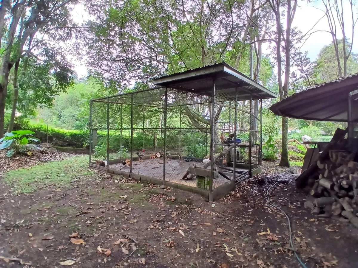Beautiful park property in a refreshing high-altitude location