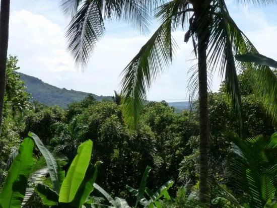 Se vende lote edificable en la montaña