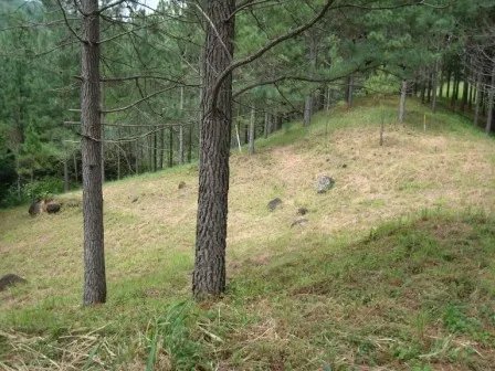 Lote hermoso en el area de valencia, altos del maria. precio reducido y negociable!