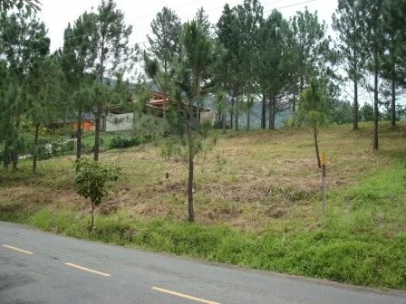 Lote hermoso en el area de valencia, altos del maria. precio reducido y negociable!