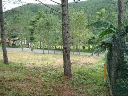 Lote hermoso en el area de valencia, altos del maria. precio reducido y negociable!