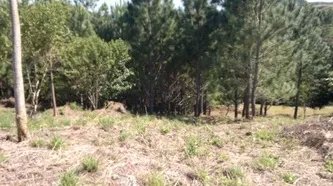 Lote con excelentes vistas